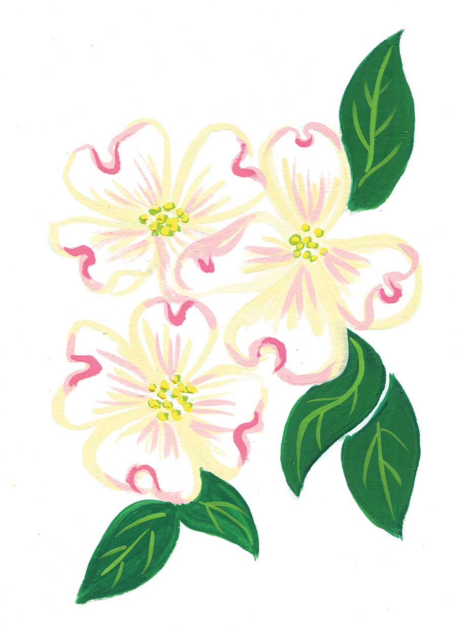 Dogwood