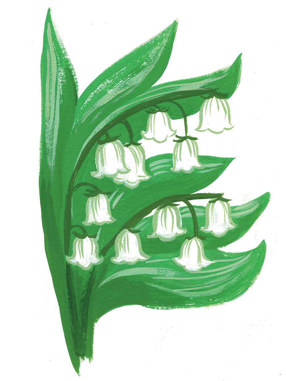 Lilyofthevalley