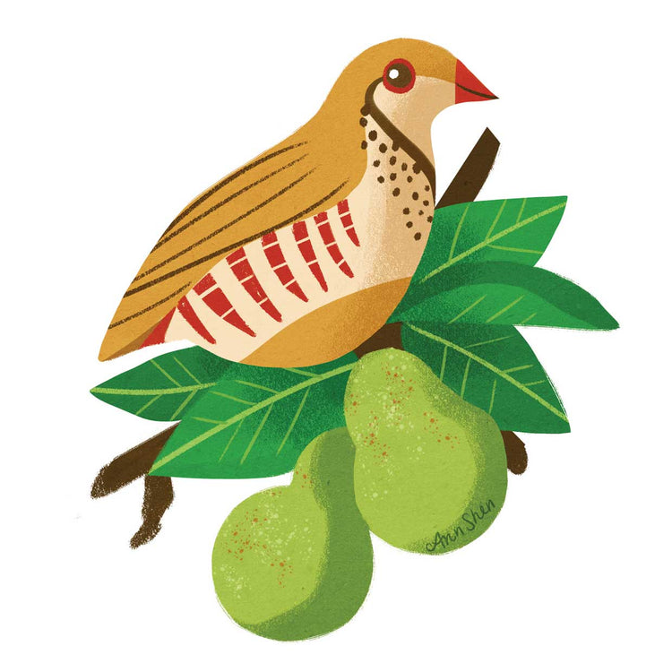 12 Days of Christmas 1 Partridge In A Pear Tree