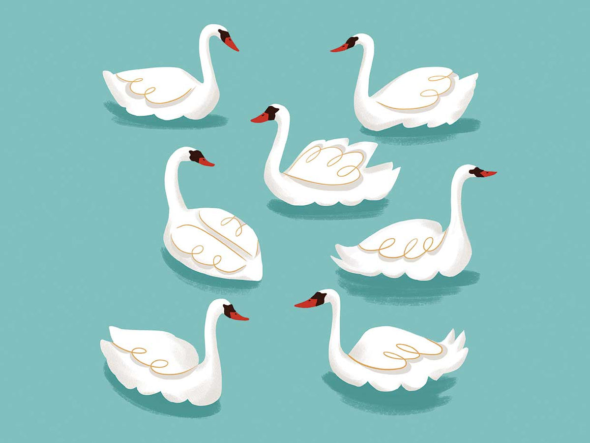 12 Days of Christmas 7 Swans Swimming