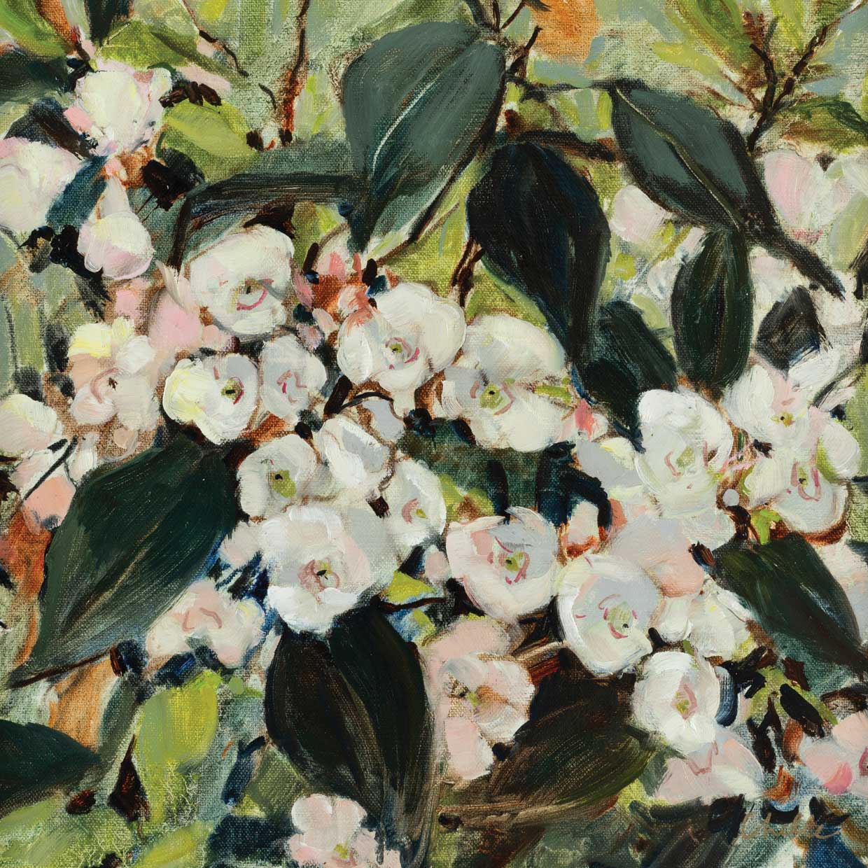 Floral Collection 1