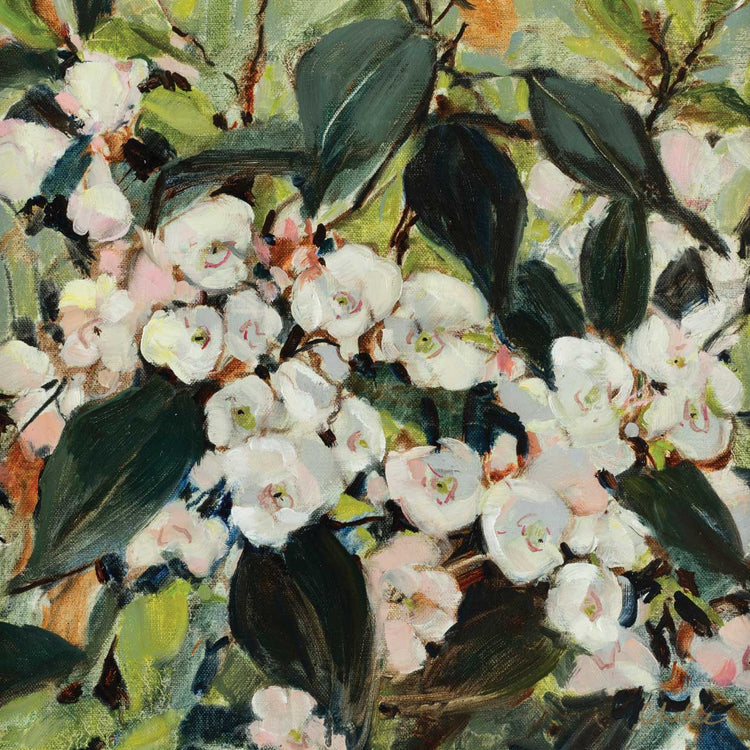 Floral Collection 1