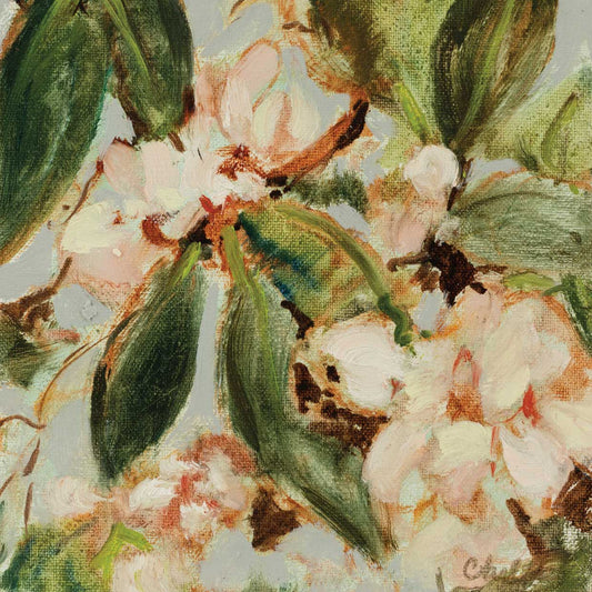 Floral Collection 9 Canvas Print