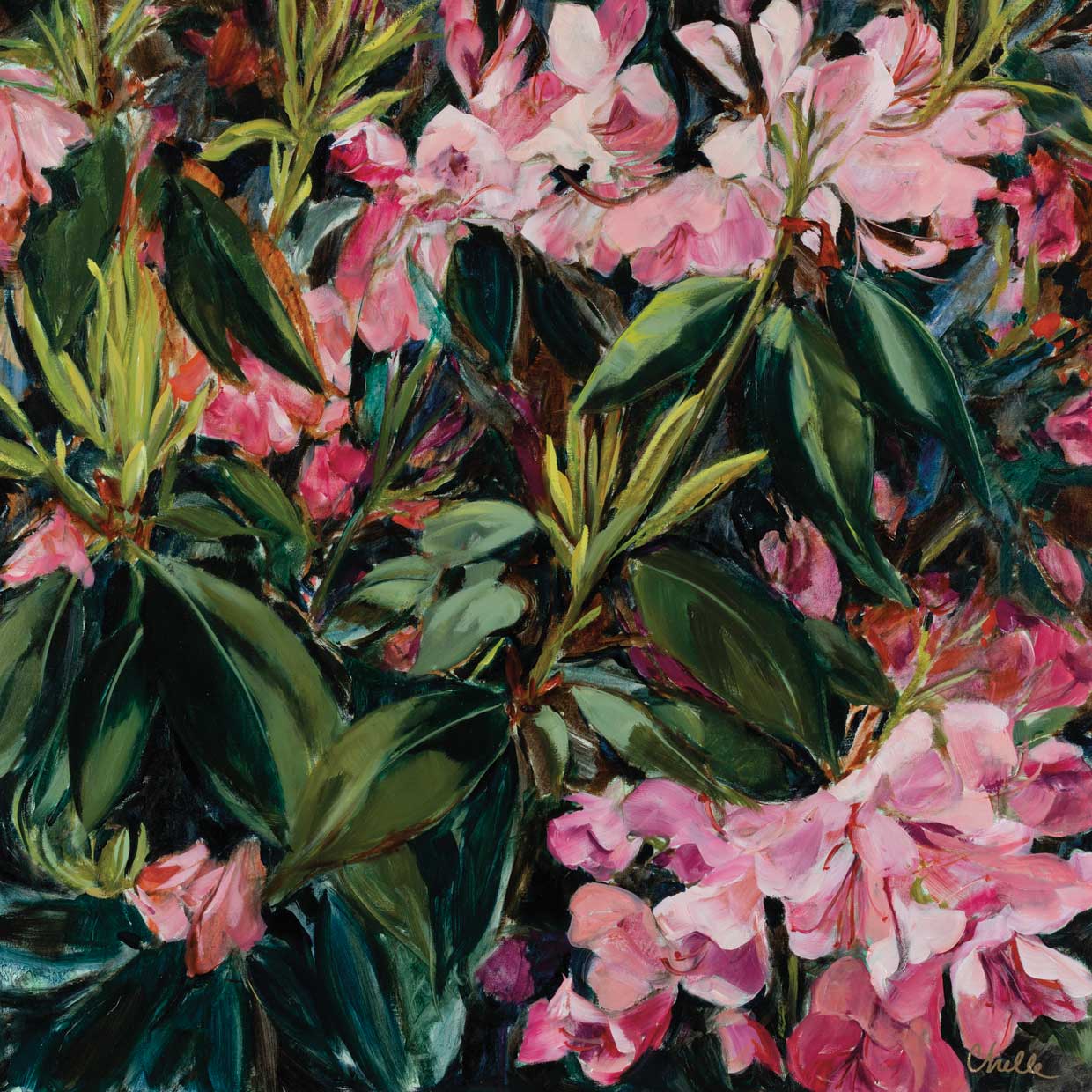 Colección floral 11 Lienzo