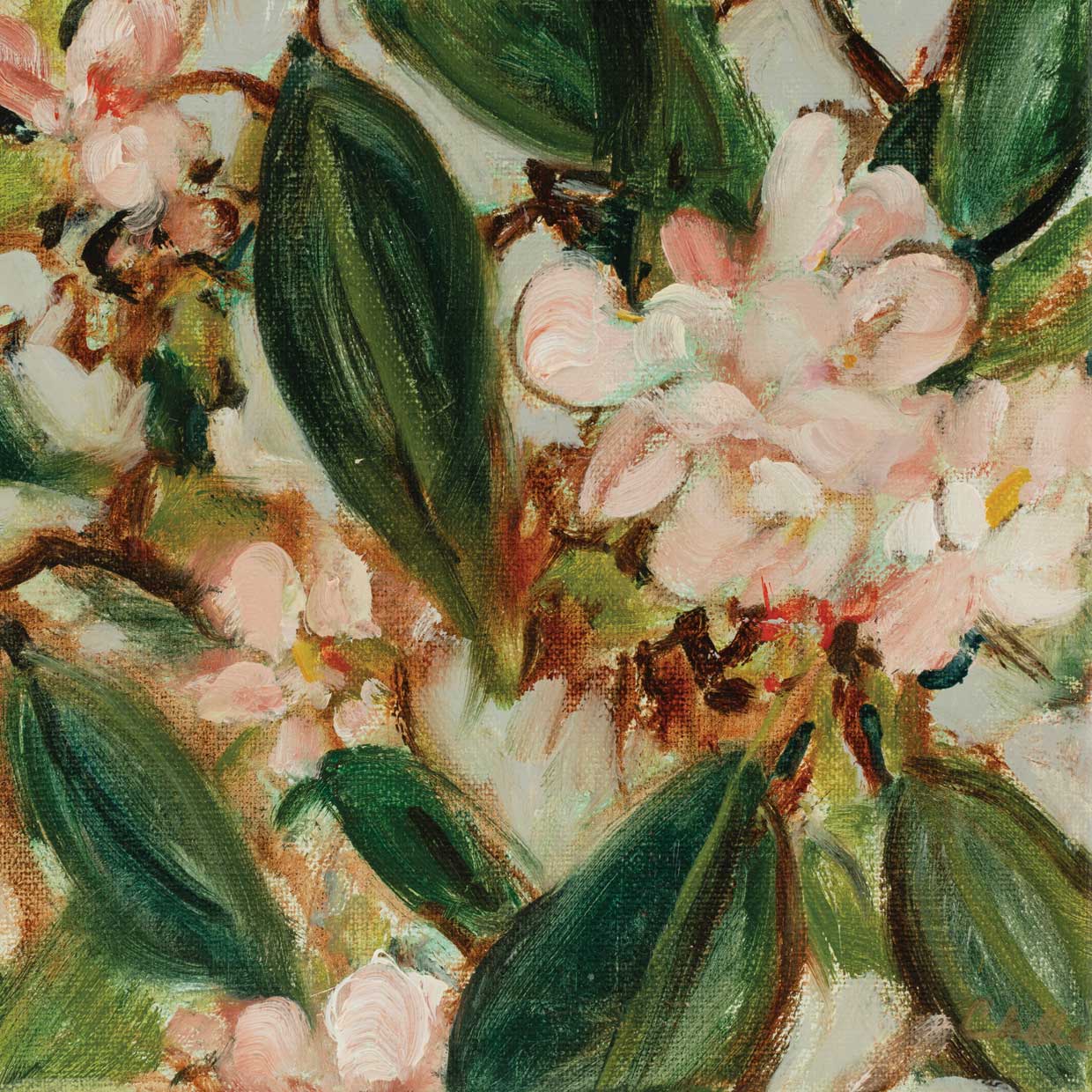 Colección floral 19 Lienzo