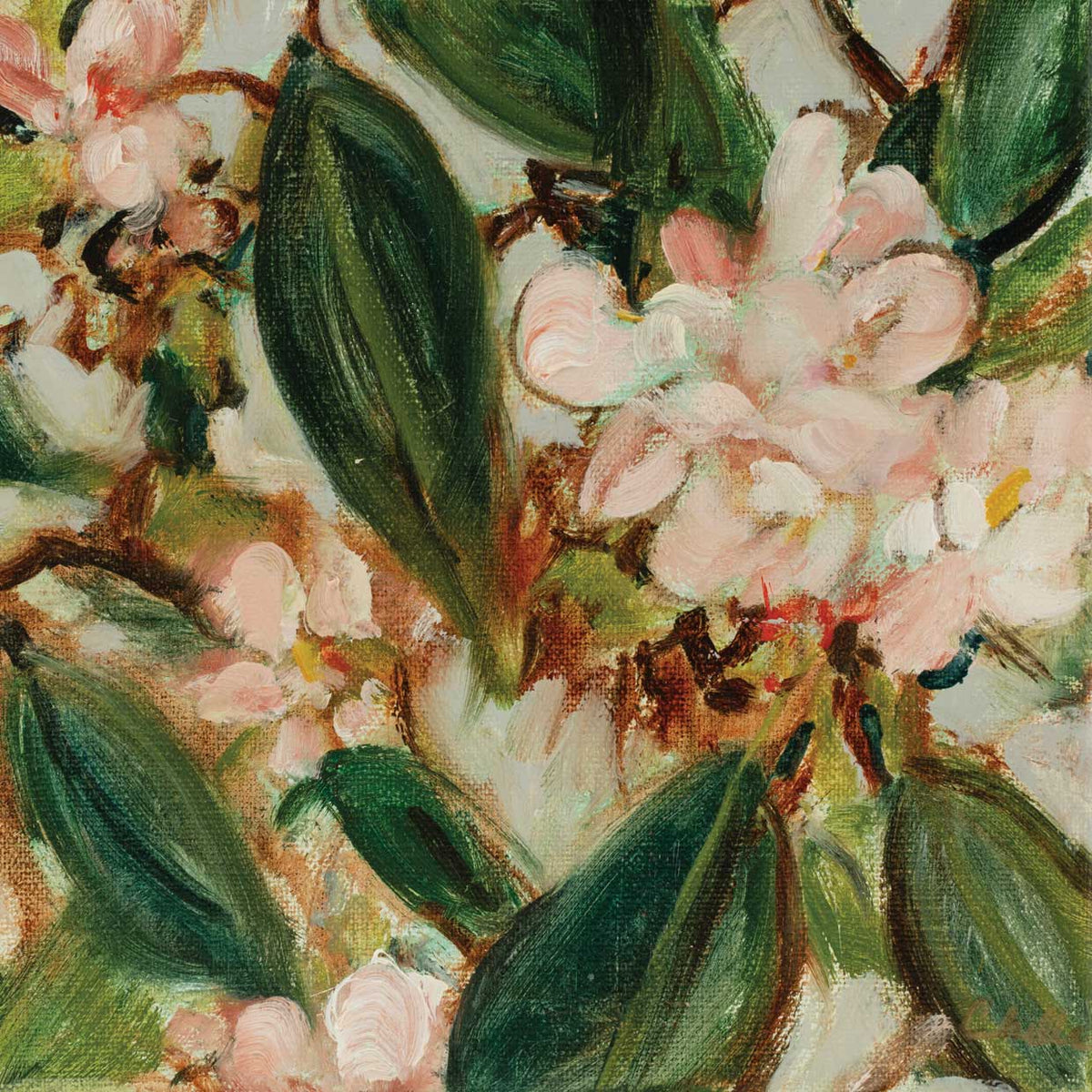 Floral Collection 19