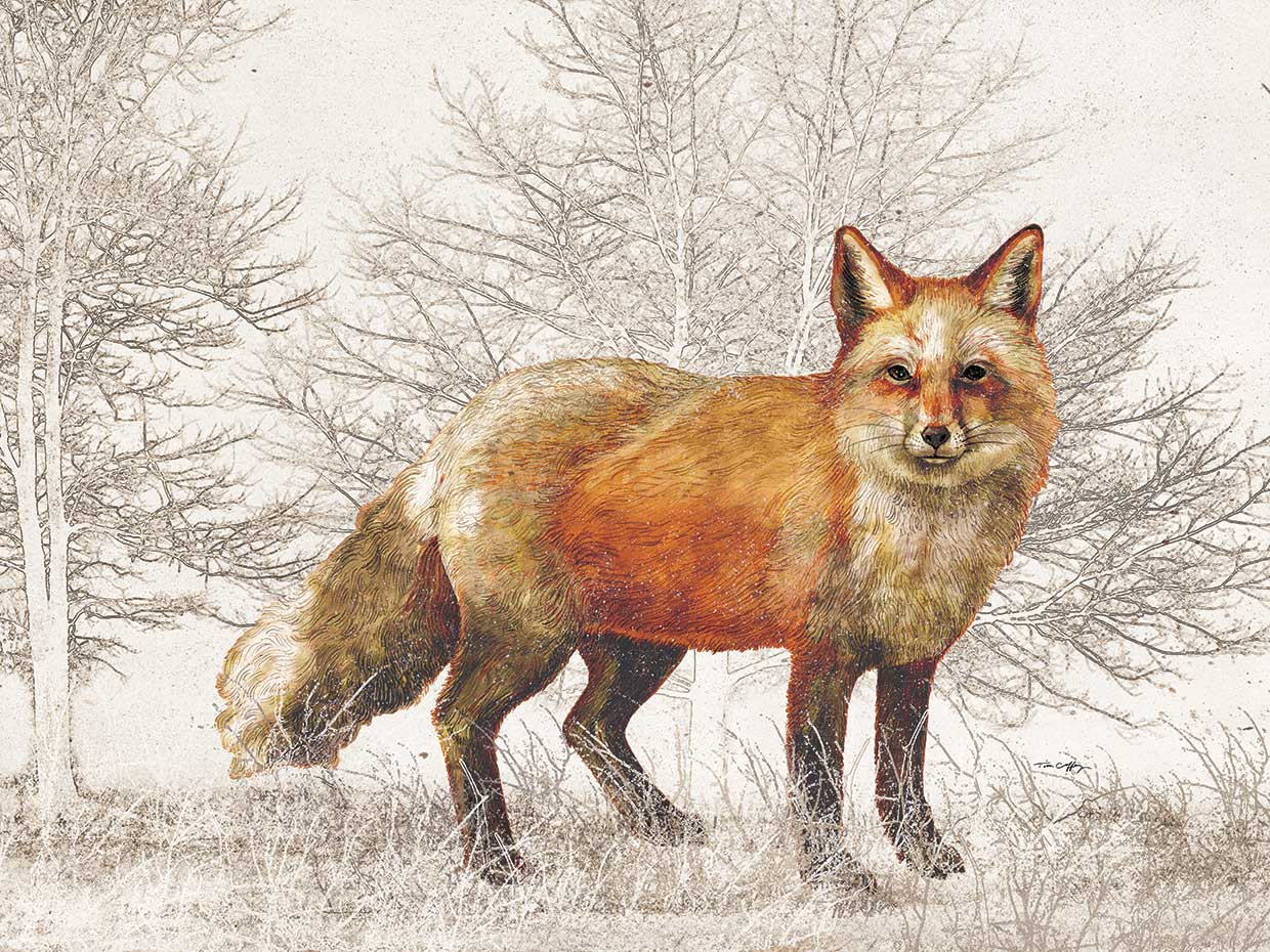 Winter Fox