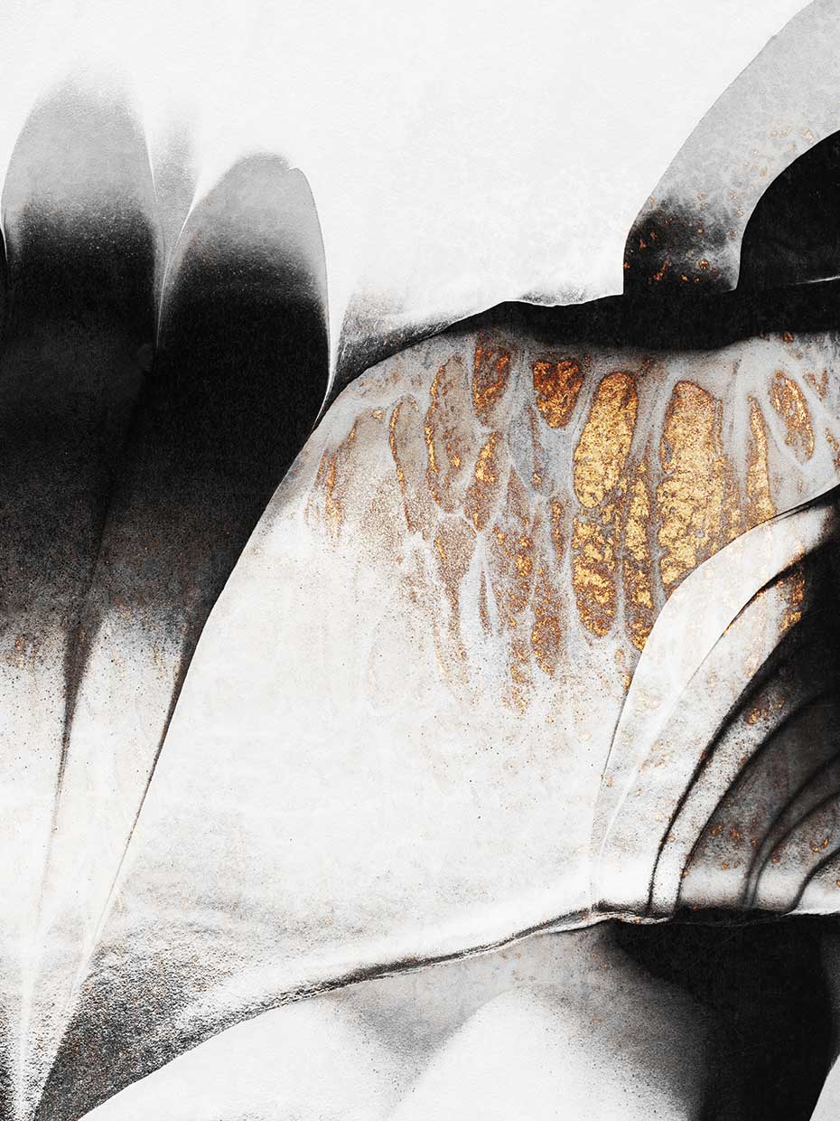 Black And Gold Veins