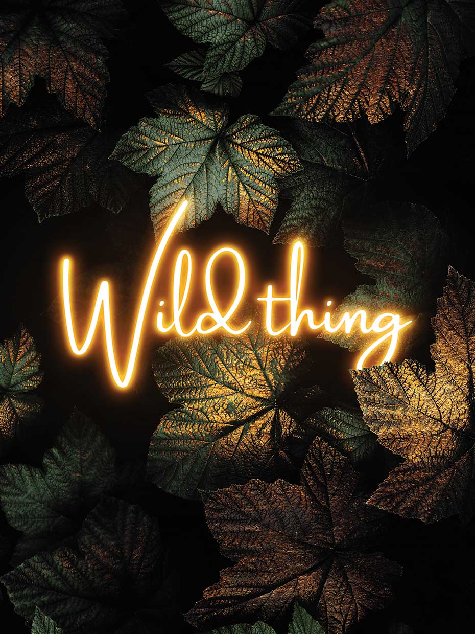 Wild Thing
