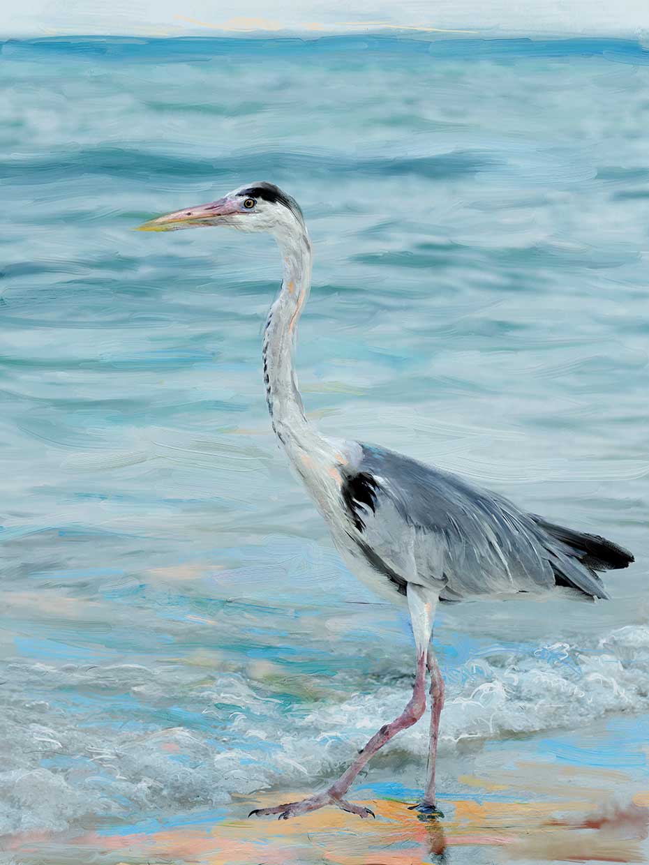 Beach Stroll