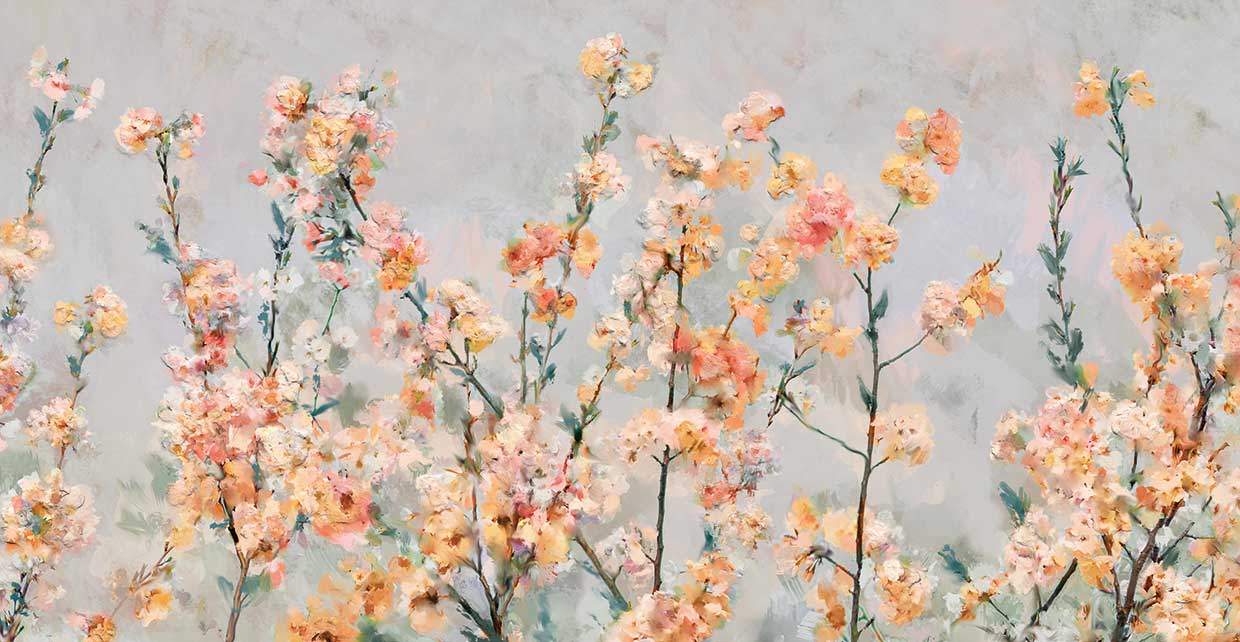 Cherry Blossom Blooms