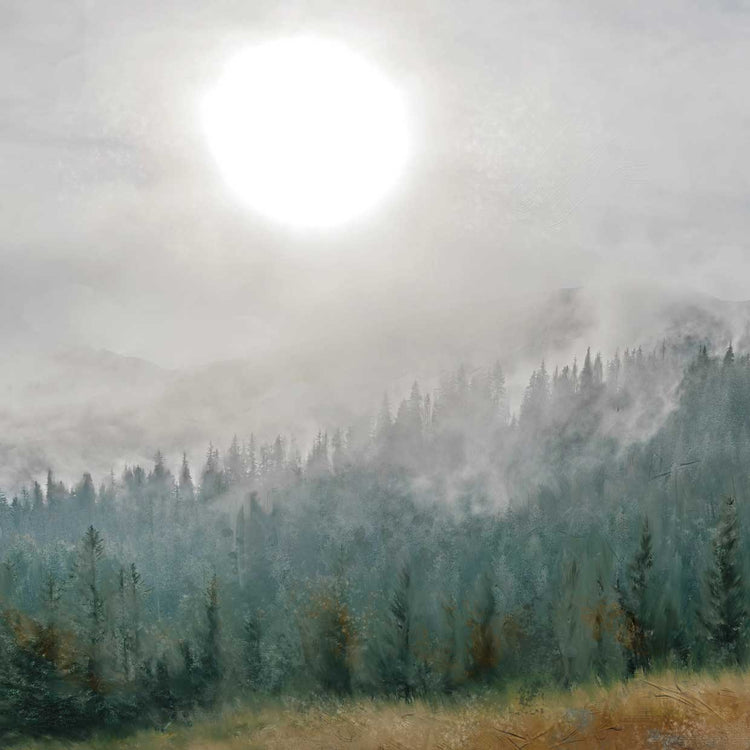 Mountain Moonglow Square