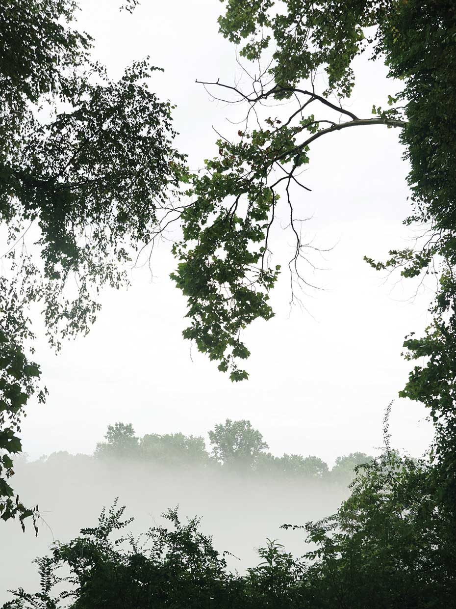 River Views I