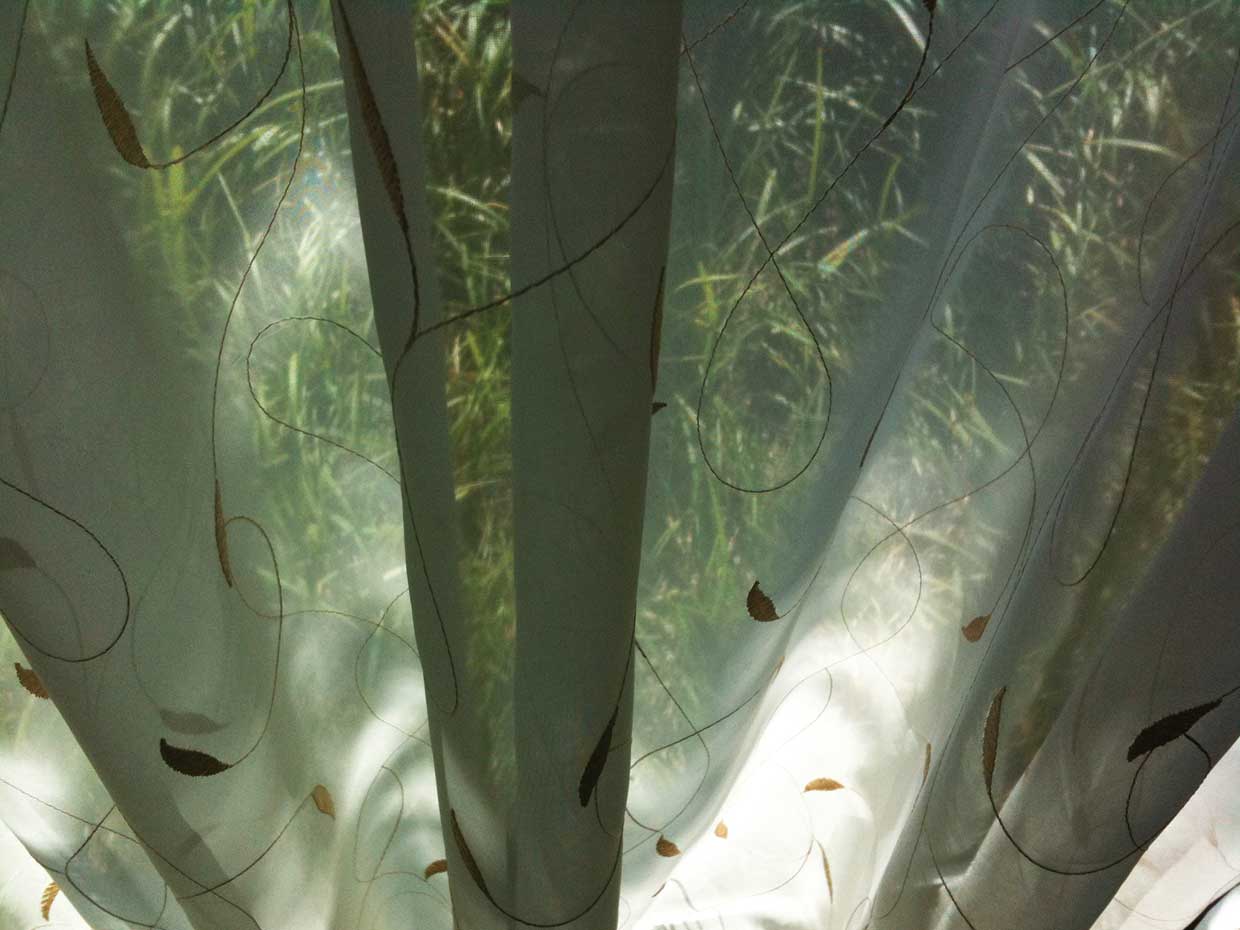 Nature Through a Vail