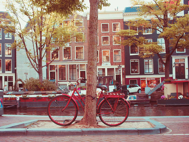 Amsterdam Bikes No. 2 Lienzo