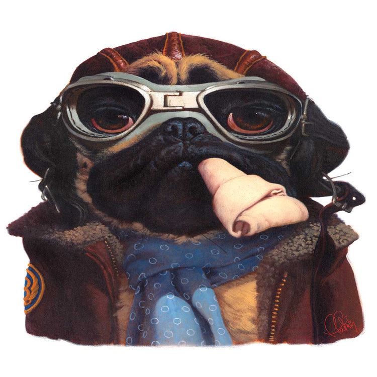 Aviator Pug