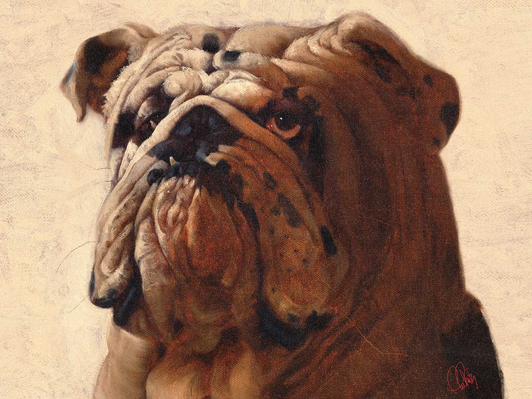 dogo Lienzo