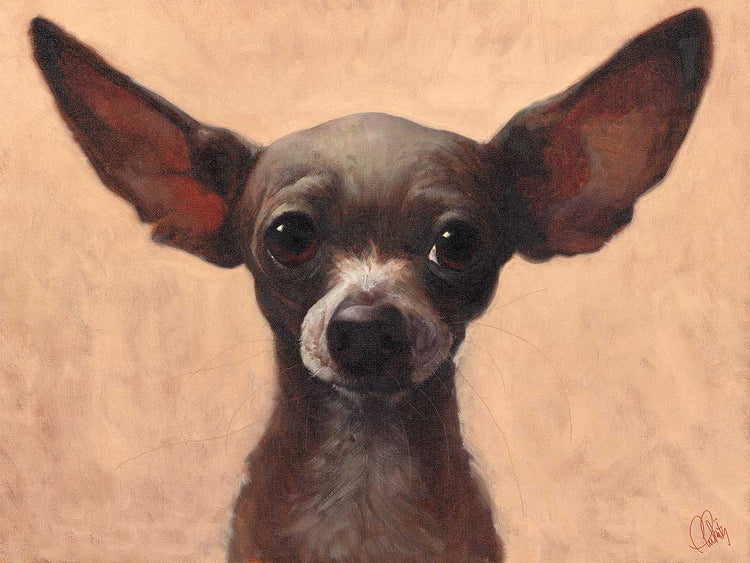 chihuahua Lienzo