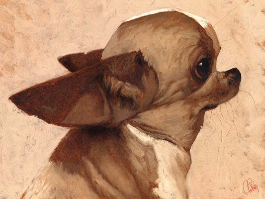 Profile-Chihuahua Canvas Print