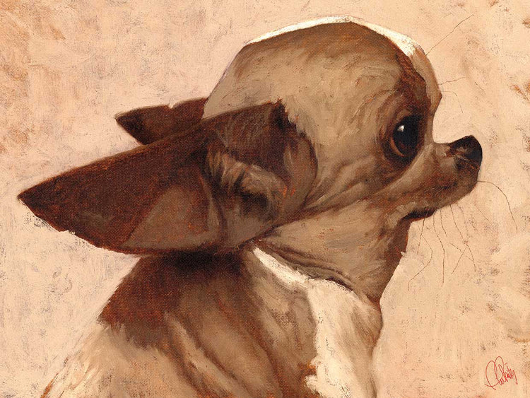 Perfil-Chihuahua Lienzo