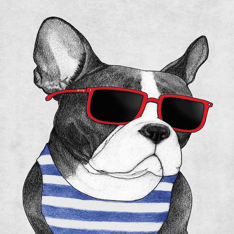 Frenchie Summer Style