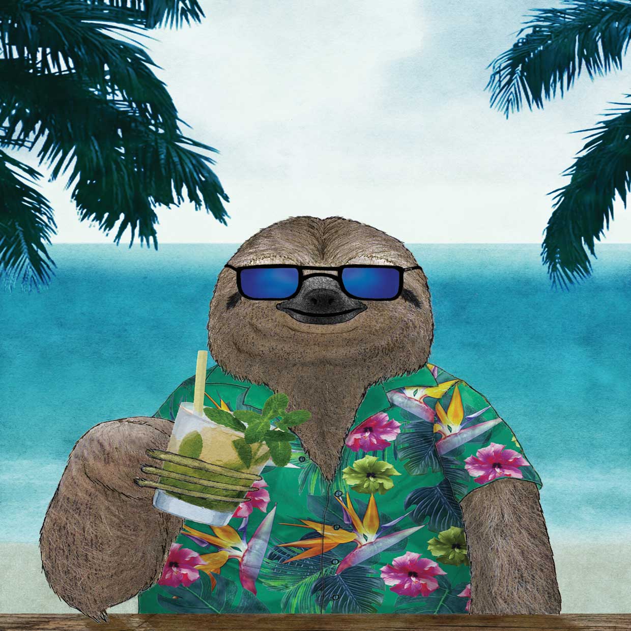 Sloth on Summer Holidays