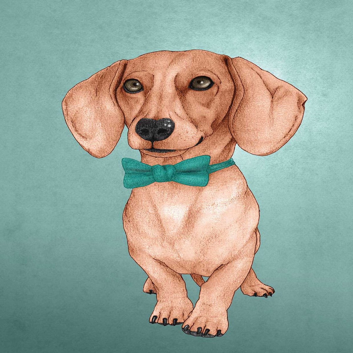 The Wiener Dog