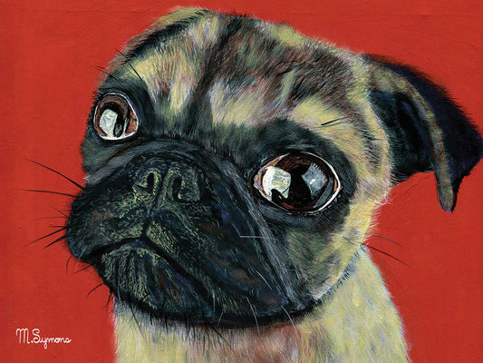 Pugly Canvas Print