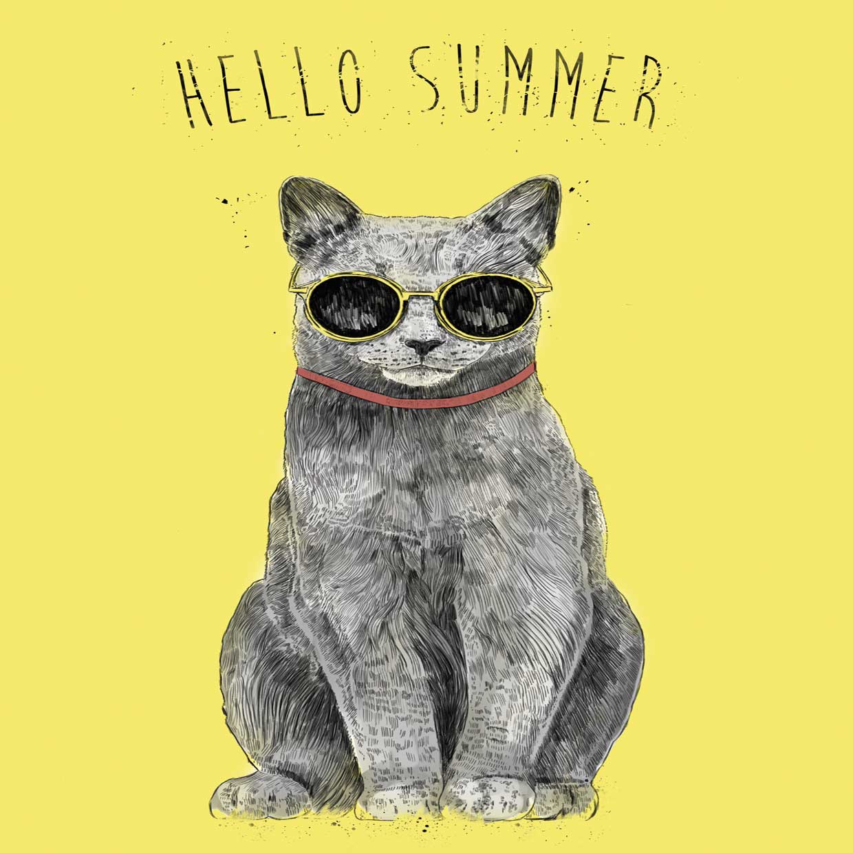 Hello Summer