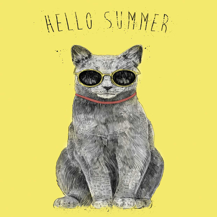 Hola verano Lienzo