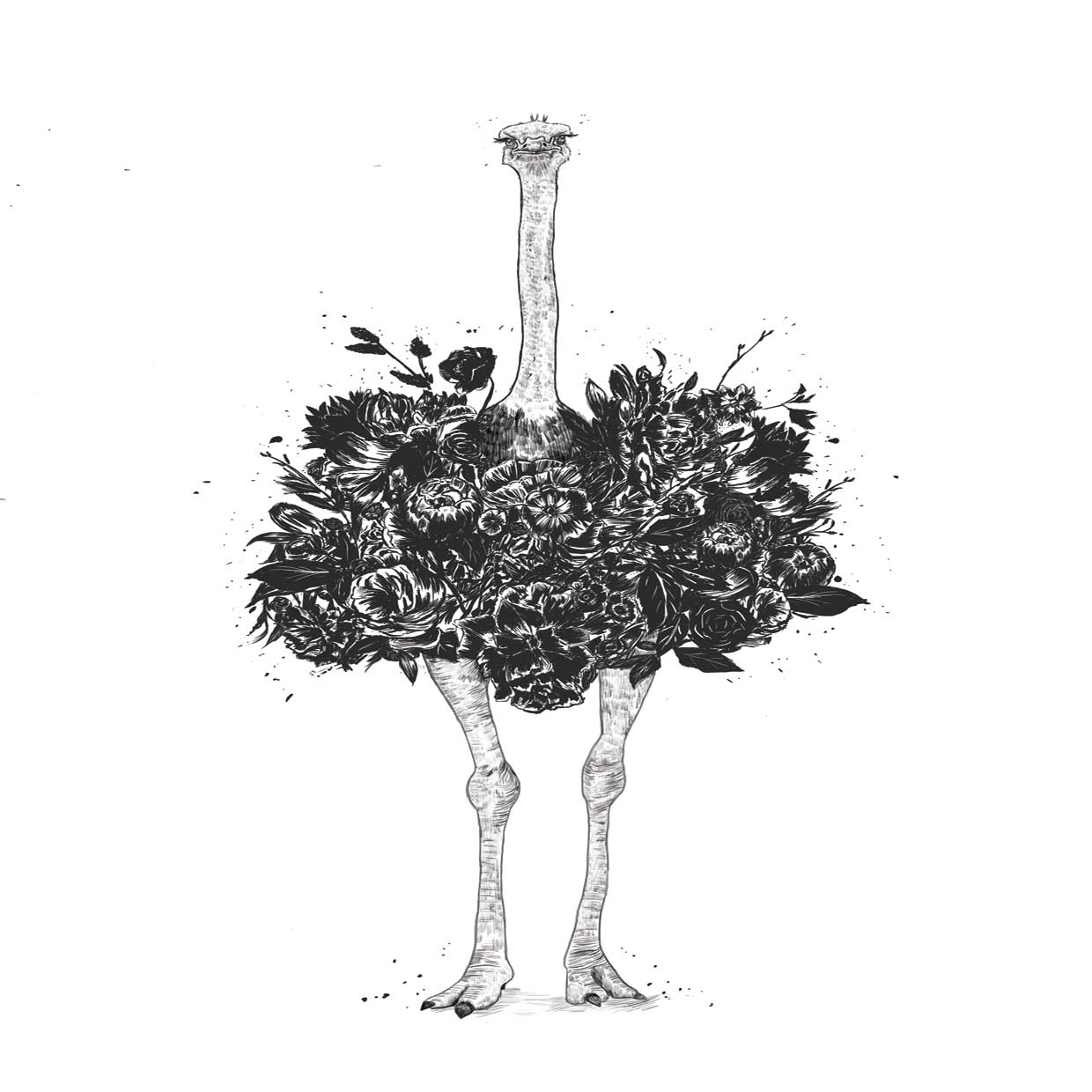 Floral Ostrich