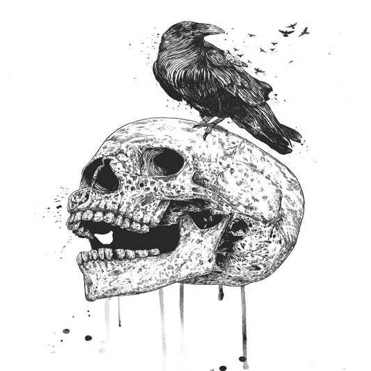 New Skull Canvas Print