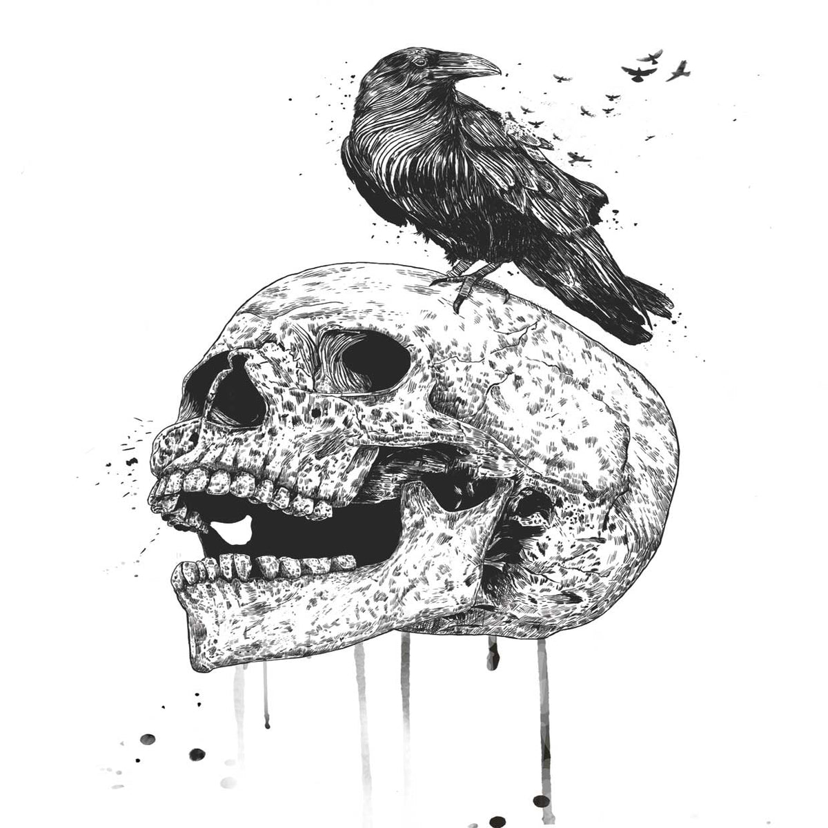 New Skull
