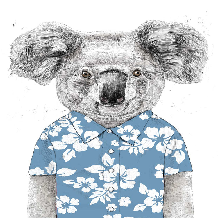 Summer Koala (Blue)
