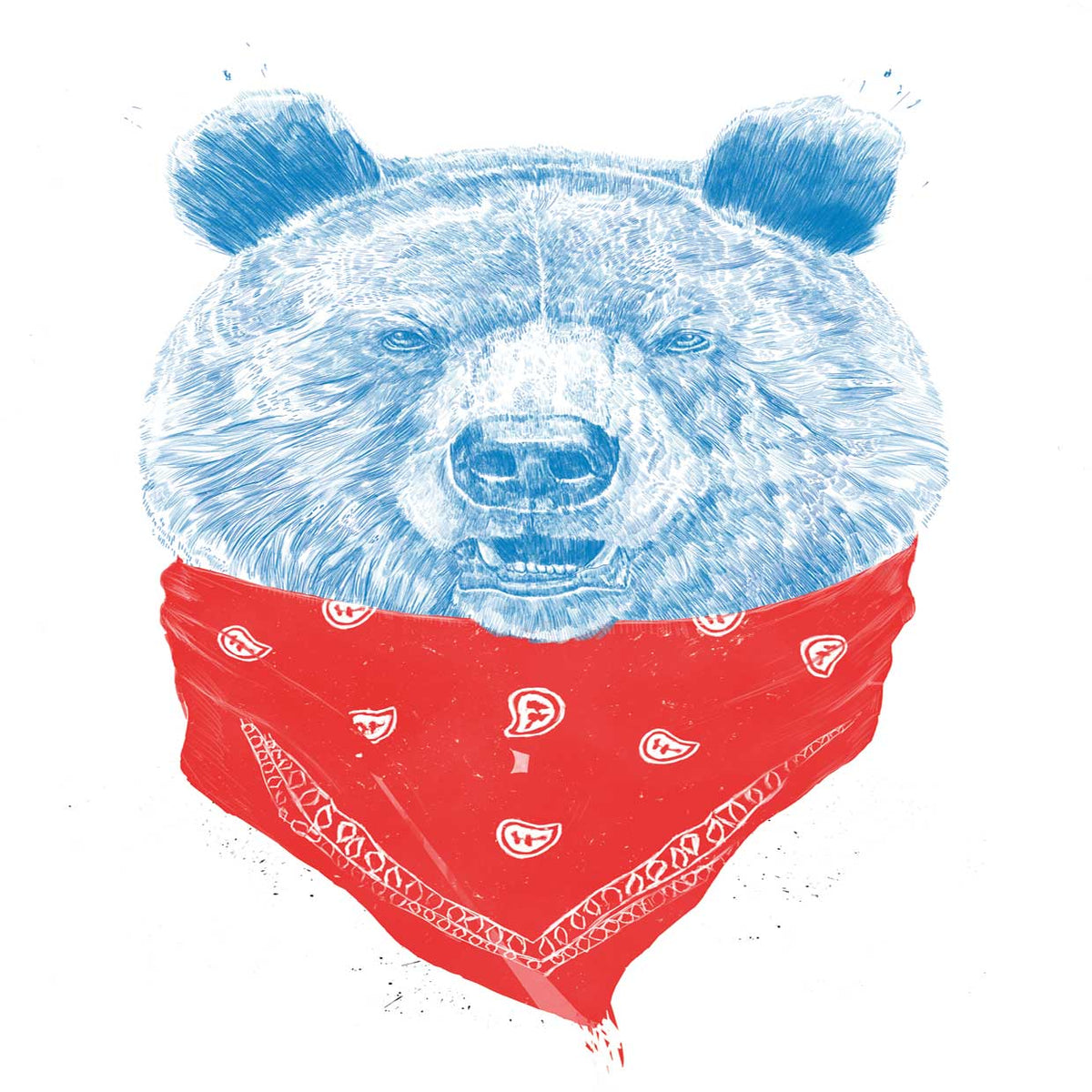 Wild Bear