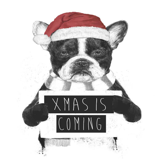 Xmas is Coming Canvas Print