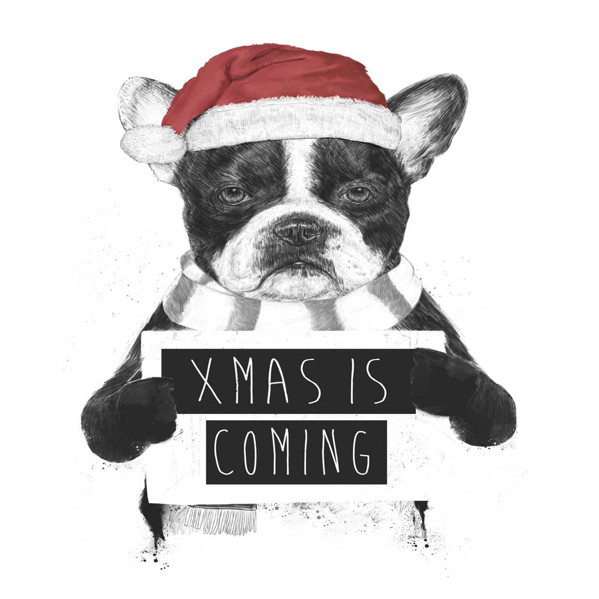 Xmas is Coming