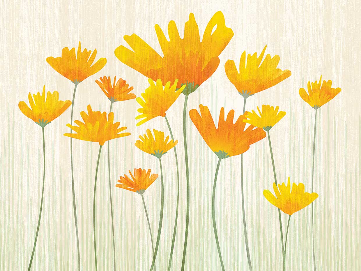 Golden Poppy Field