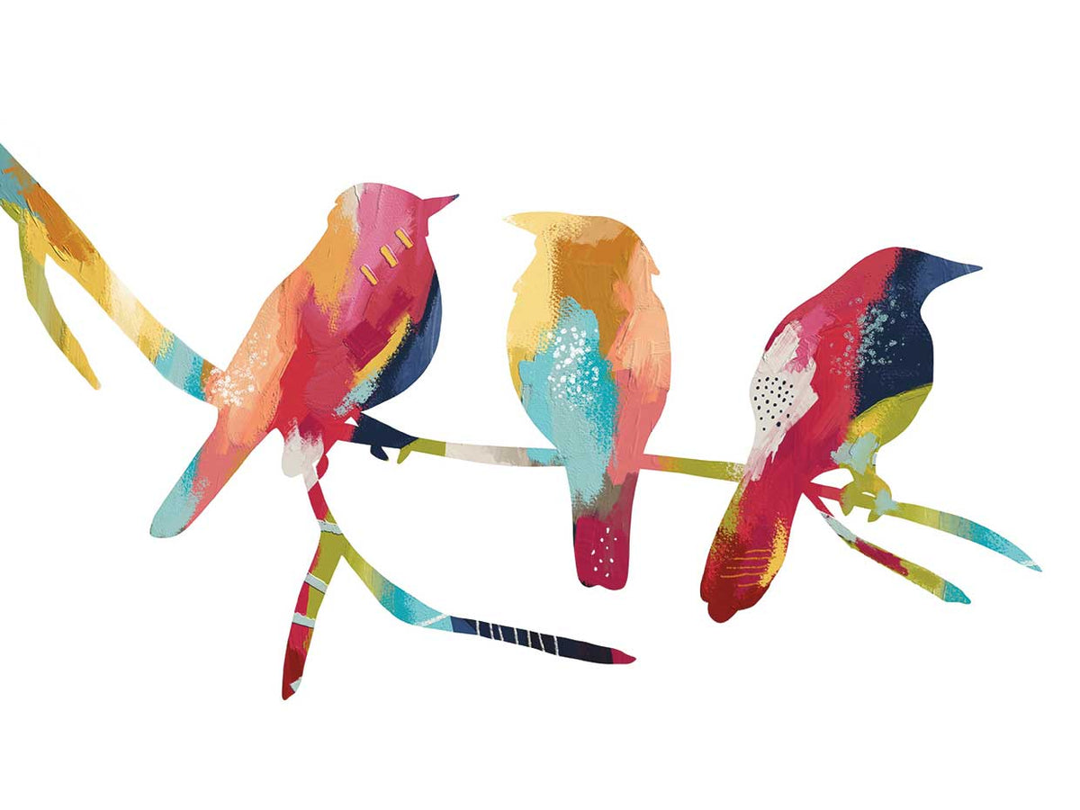 Birds