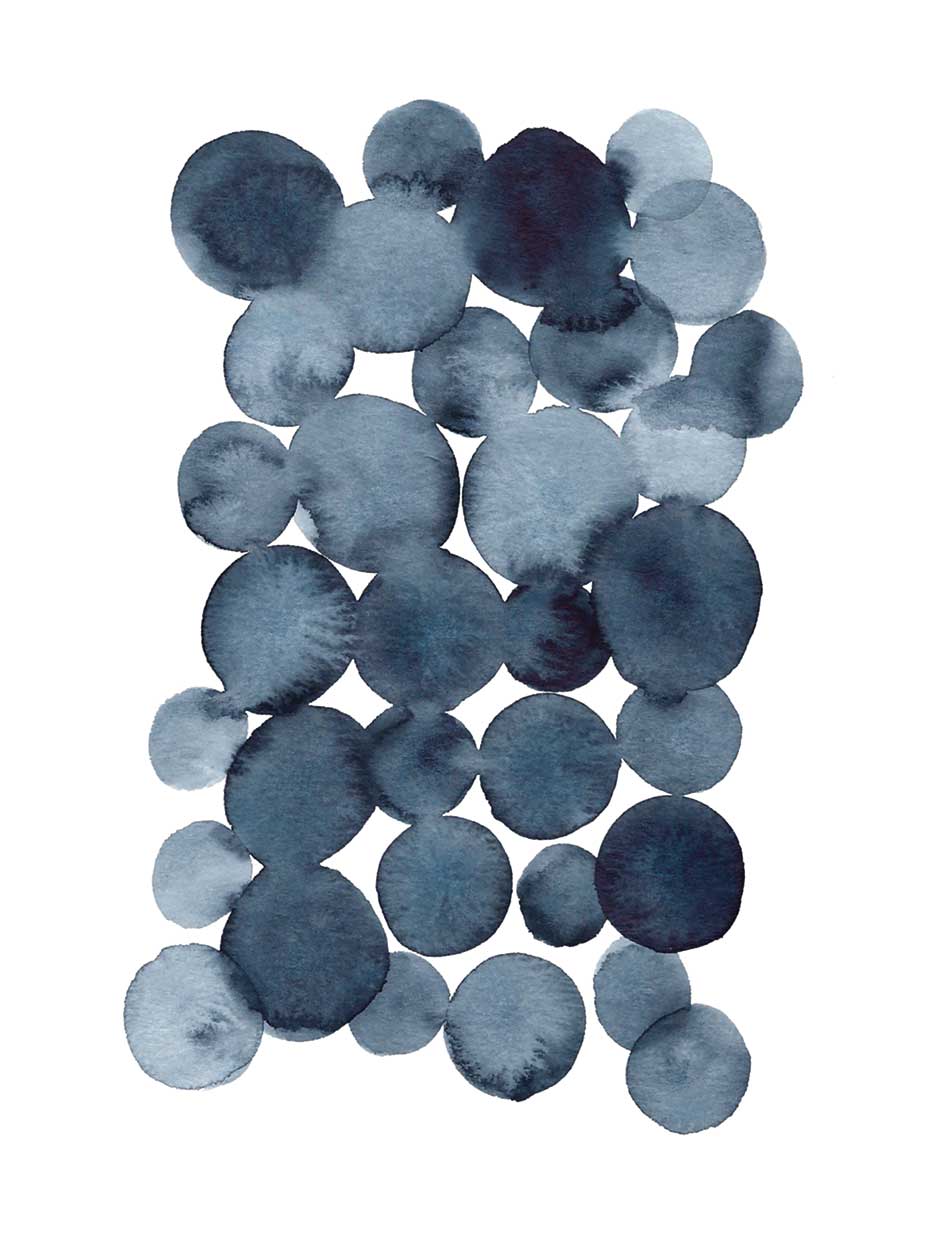 Navy Circles