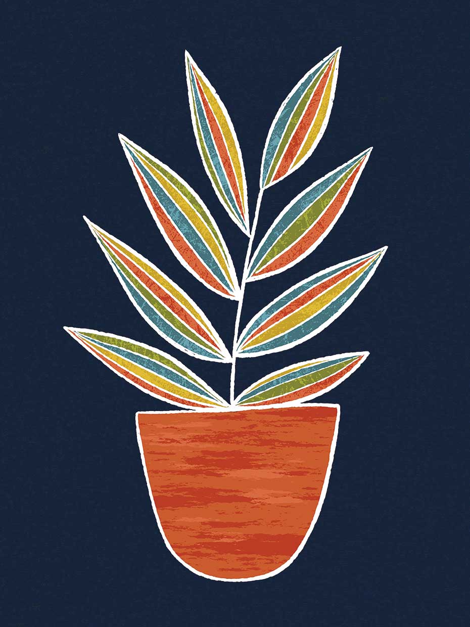 Plant Navy