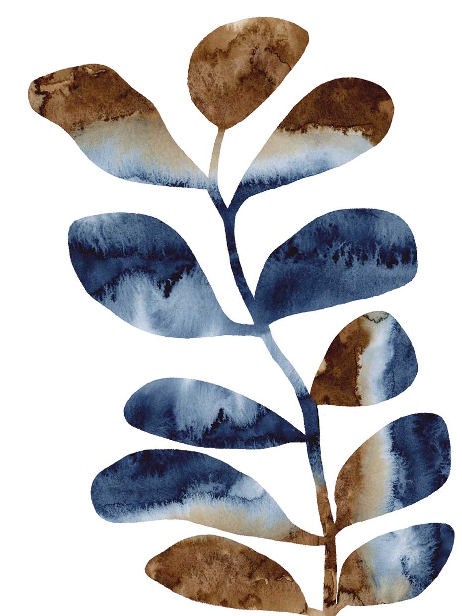 Watercolor Blue Brown2