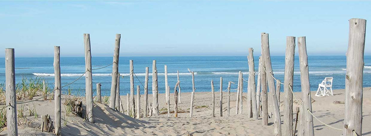 Drift Out to Sea 12X36