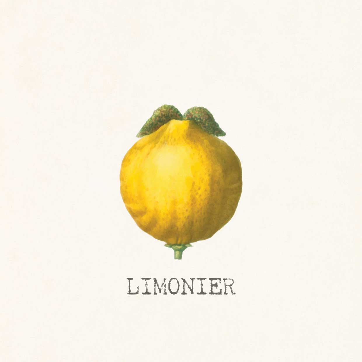 Limonier