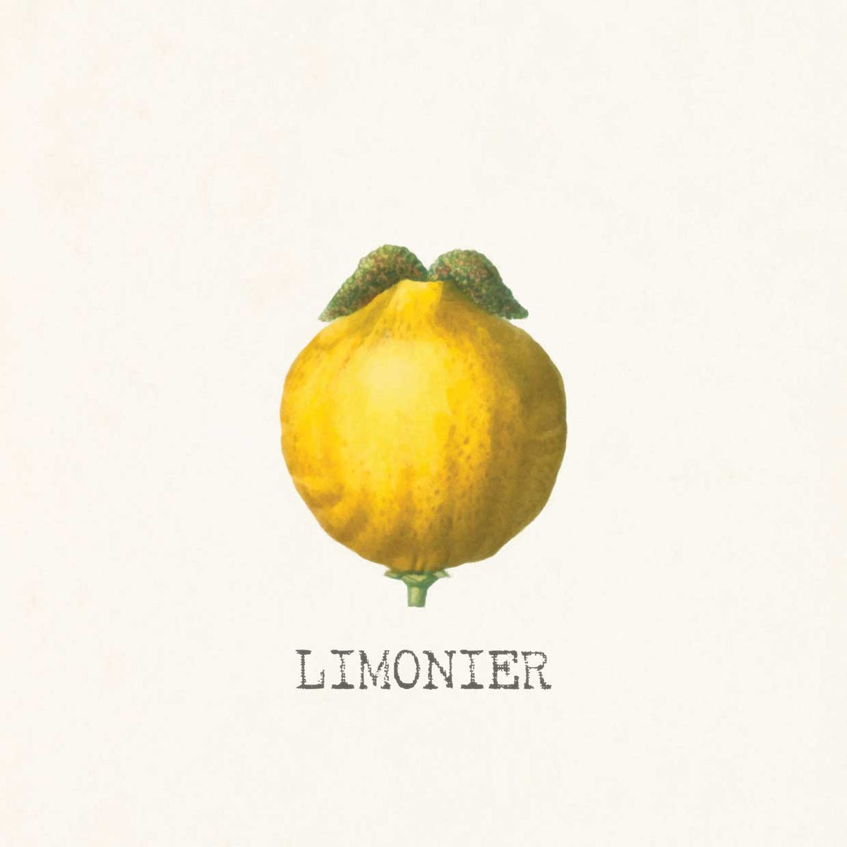 Limonier