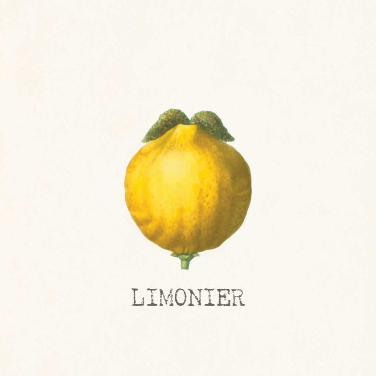 Limonier