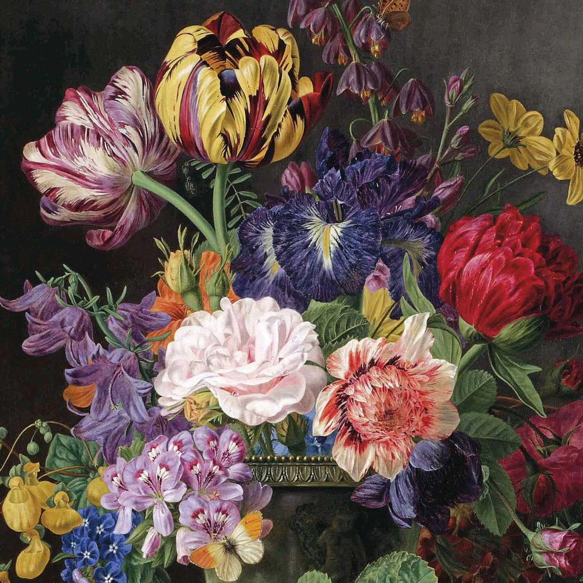 Flowers New Take HG Knip 40x40