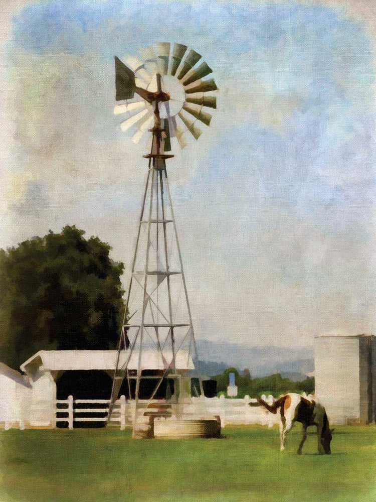 Windmill on Farm 18x24