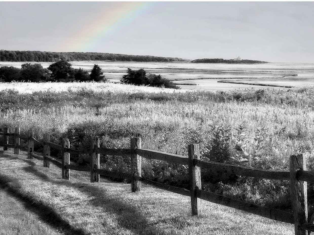 Fort Hill Marsh Black and White 24x36
