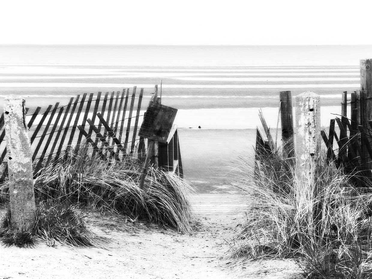 Desciende a la Tranquilidad Blanco y Negro 24x36 Lienzo